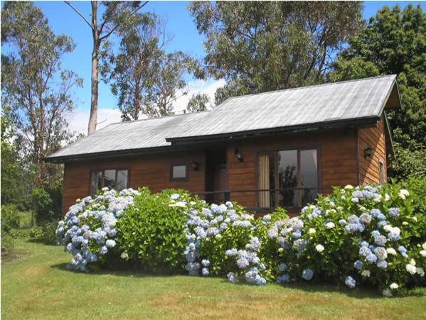 Las Juntas Ecolodge Puyehue Exteriér fotografie